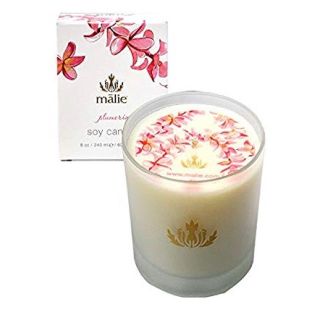 マリエオーガニクス(Malie Organics)のmalie ソイキャンドル プルメリア(アロマ/キャンドル)