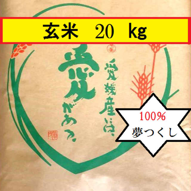 お米　H30　夢つくし　玄米　20㎏米/穀物