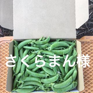 鹿児島産スナップエンドウ1キロ^_^(野菜)