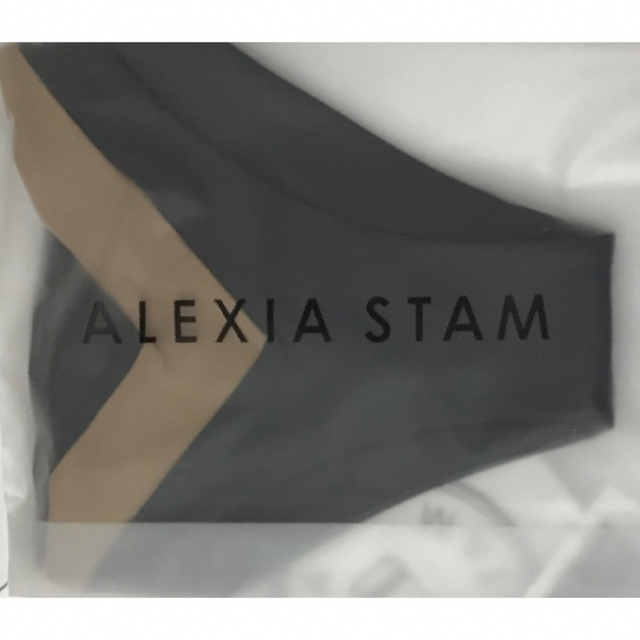 ALEXIA STAM(アリシアスタン)のアリシアスタン ビキニ ボトム  Lサイズ　Skylar Black　新品未使用 レディースの水着/浴衣(水着)の商品写真