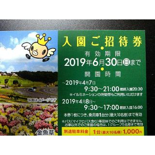 ◆東京ドイツ村★入園ご招待券（一枚）★～6/30まで◆(遊園地/テーマパーク)