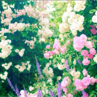 専用です！(知育玩具)