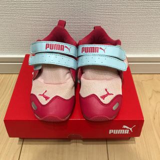 プーマ(PUMA)のpuma 子供 靴(スニーカー)