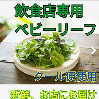 飲食店専用ベビーリーフ 8種類の詰め合わせ 1kg　クール便でお届け(野菜)