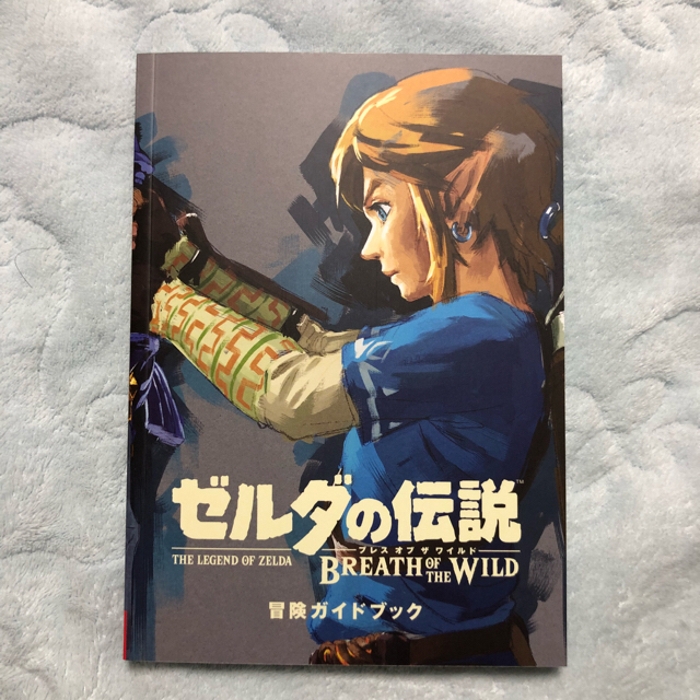 Nintendo Switch(ニンテンドースイッチ)のゼルダの伝説 ブレスオブザワイルド エンタメ/ホビーのゲームソフト/ゲーム機本体(家庭用ゲームソフト)の商品写真