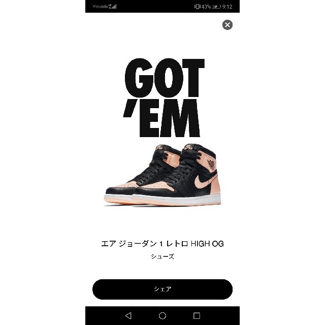 NIKE(ナイキ)のNIKE AIR JORDAN 1 RETRO HIGH OG　27.5 メンズの靴/シューズ(スニーカー)の商品写真