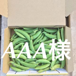 鹿児島産スナップエンドウ箱込み500g^_^(野菜)