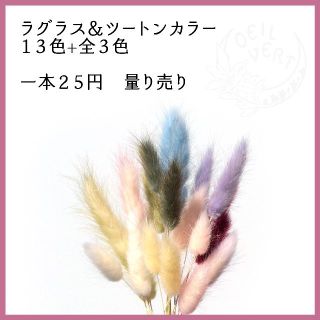 【1本25円】ラグラス＆ツートンカラー　量り売り(ドライフラワー)