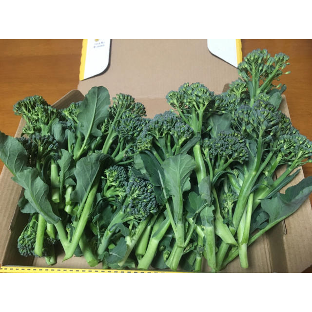 MIUMOMO様専用 スティックブロッコリー 野菜詰め合わせ 自家栽培の通販
