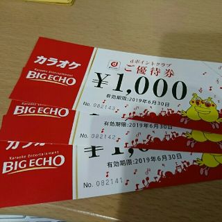 専用  ビックエコー優待券 3000円分 (その他)