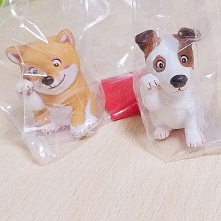 招福犬 ジャックラッセルテリア&柴犬(その他)