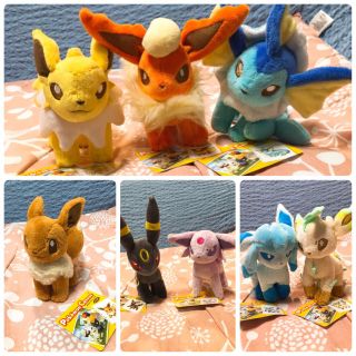 ポケモン(ポケモン)のポケットモンスター  キャンバス ぬいぐるみ ブイズ進化系8体セット(ぬいぐるみ)