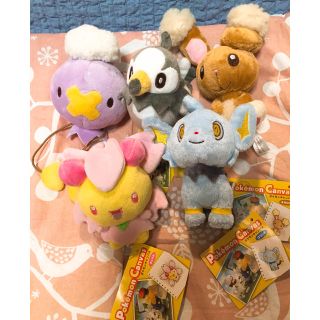 ポケモン(ポケモン)のポケモンキャンバス ぬいぐるみ ムックル(ぬいぐるみ)