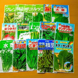 【80種類】野菜の種、ハーブの種、花の種　自分の欲しい種類を選んで購入！　(野菜)