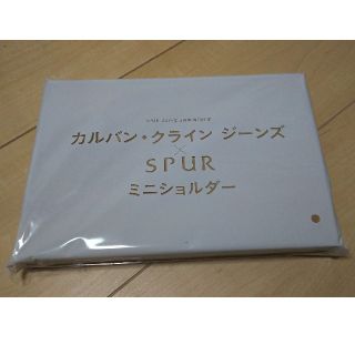 カルバンクライン(Calvin Klein)のSPUR  5月号 付録(ポーチ)