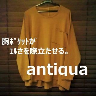 アンティカ(antiqua)の【美品◆３時間のみ着用】 アンティカ ドルマン ロンT 長袖(Tシャツ(長袖/七分))