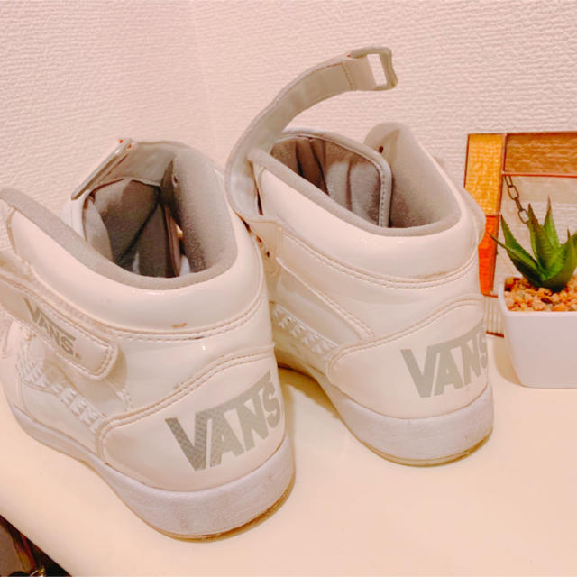 VANS(ヴァンズ)の白*靴*VANS レディースの靴/シューズ(スニーカー)の商品写真
