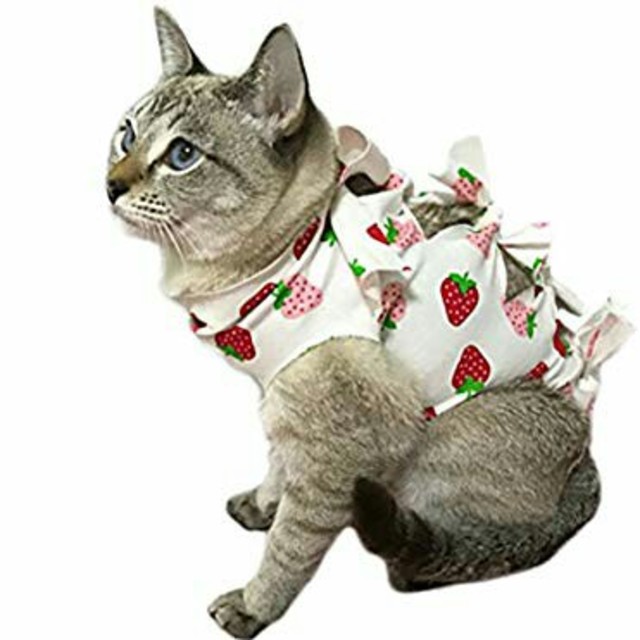 値下げ　新品未使用☆猫避妊手術服☆ その他のペット用品(猫)の商品写真