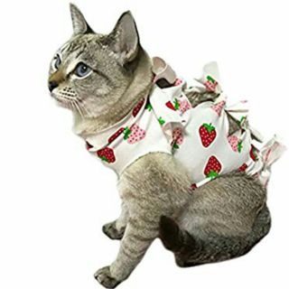 値下げ　新品未使用☆猫避妊手術服☆(猫)