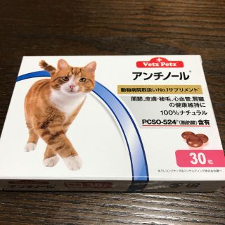 アンチノール(猫)