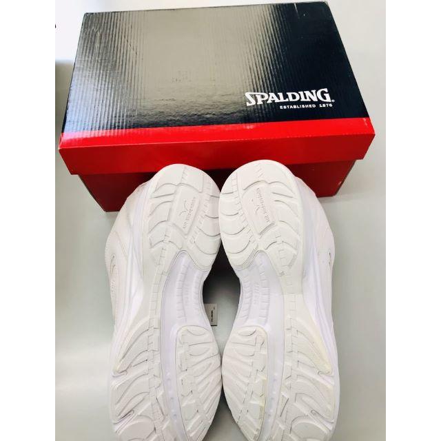 SPALDING(スポルディング)の新品 SPALDING スポルディング 白 スニーカー ホワイト 通学靴 28c メンズの靴/シューズ(スニーカー)の商品写真
