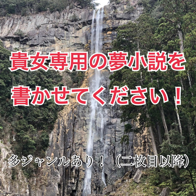 夢小説オーダー承りますの通販 By カシオレ S Shop ラクマ 夢小説オーダー承りますの通販 By カシオレ S Shop ラクマ