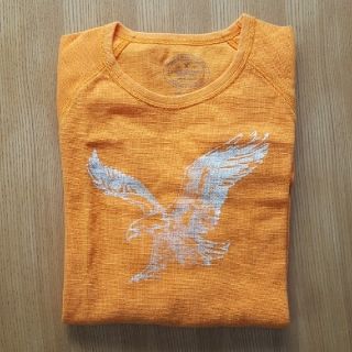 アメリカンイーグル(American Eagle)のアメリカンイーグル ロングスリーブTシャツ(Tシャツ/カットソー(七分/長袖))