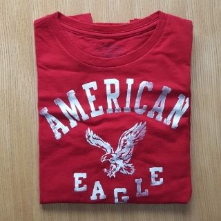 アメリカンイーグル(American Eagle)のアメリカンイーグル ロングスリーブTシャツ(Tシャツ/カットソー(七分/長袖))