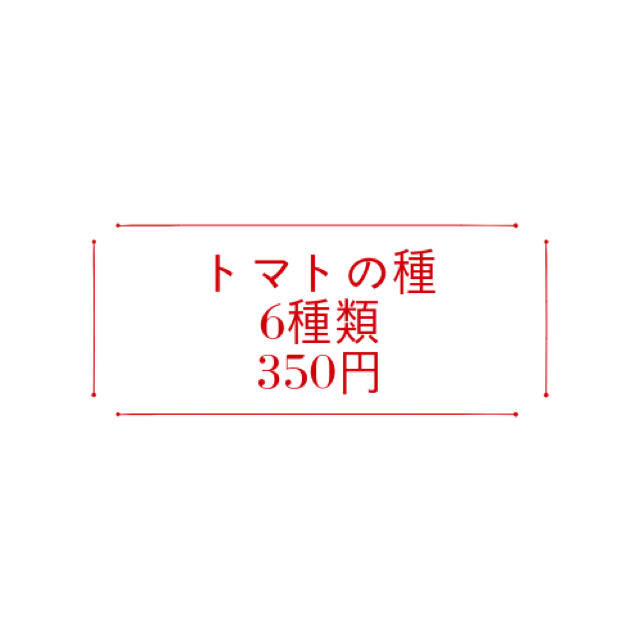 ★rara様専用★トマトの種6種類 食品/飲料/酒の食品(野菜)の商品写真