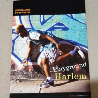 ザノースフェイス(THE NORTH FACE)の212 MAGAZINE Play ground Harlem(アート/エンタメ/ホビー)