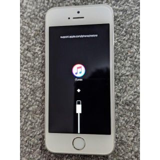 アイフォーン(iPhone)のiPhone 5S Docomo 16GB ホワイト 動作未確認(スマートフォン本体)