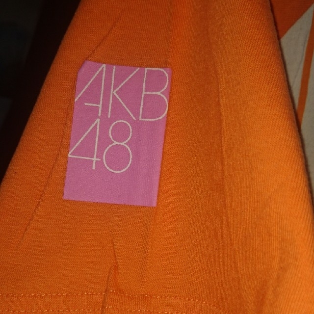AKB48 2013ツアーティシャツ XL エンタメ/ホビーのタレントグッズ(アイドルグッズ)の商品写真