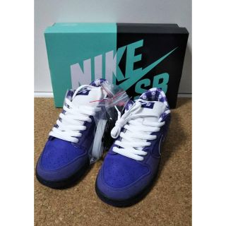 ナイキ(NIKE)のNIKE SB DUNK LOW CONCEPTS (スニーカー)