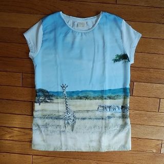 ザラ(ZARA)のZARA　Tシャツ　152ｻｲｽﾞ(Tシャツ/カットソー)