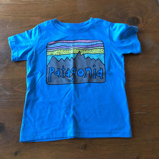 パタゴニア(patagonia)のpatagonia Tシャツ(Tシャツ/カットソー)