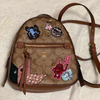 □ぴったり製品□ 極美品 コーチ COACH ミニリュック スタッズ 金具 花