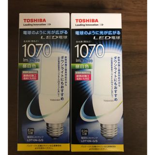 トウシバ(東芝)のTOSHIBA 東芝 ライテック LED電球 LDT10N-G/S 2本セット(蛍光灯/電球)