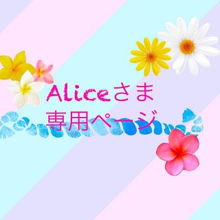 Alice様  靴ひも2セット(その他)