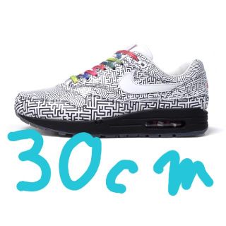 ナイキ(NIKE)のNike Air Max 1 Tokyo Maze On Air 30cm(スニーカー)