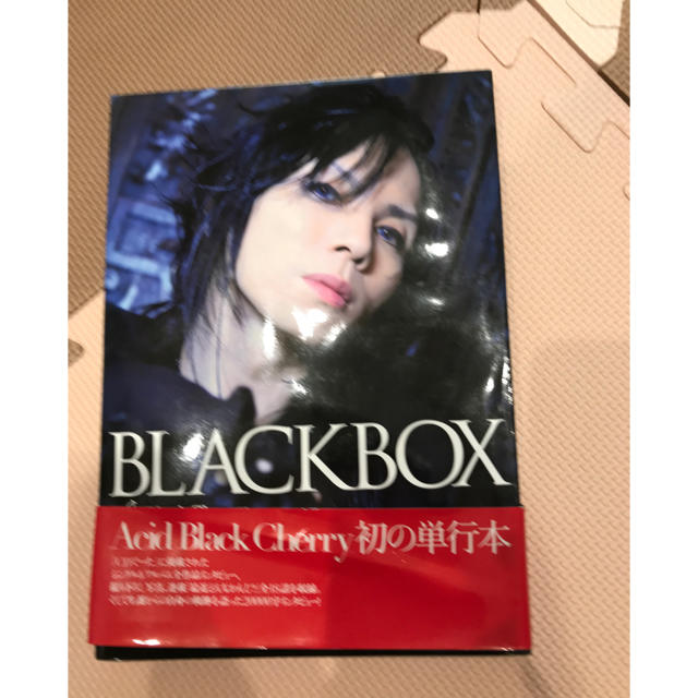 BLACKBOX  写真集 Acid Black Cherry エンタメ/ホビーのタレントグッズ(ミュージシャン)の商品写真