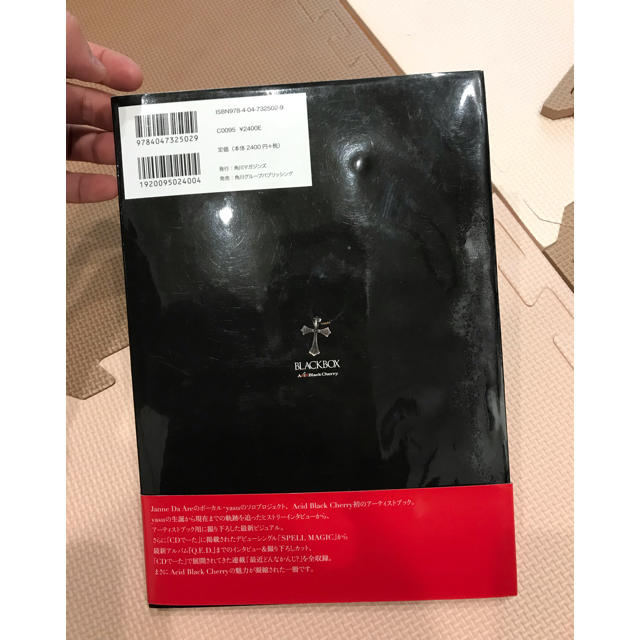 BLACKBOX  写真集 Acid Black Cherry エンタメ/ホビーのタレントグッズ(ミュージシャン)の商品写真