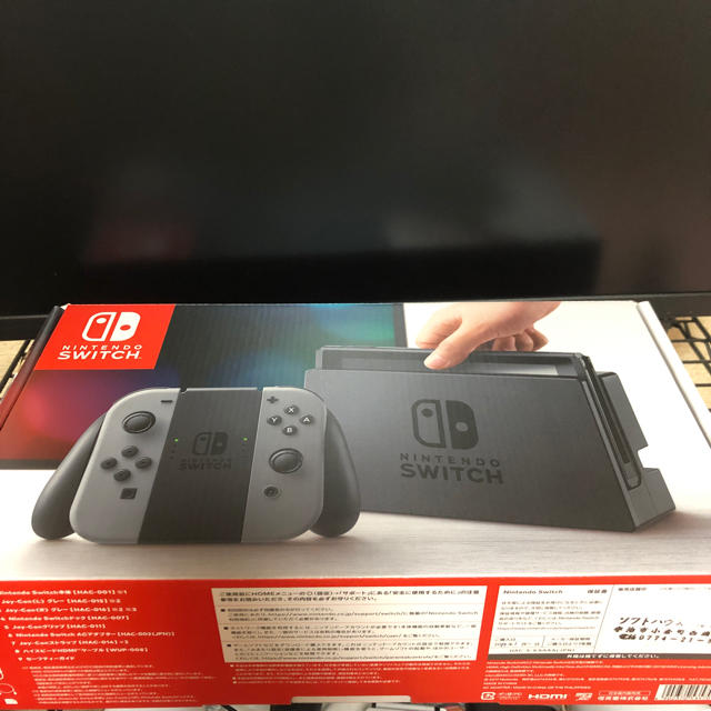 新品 (任天堂 Nintendo Switch Lite グレー )4902370542929
