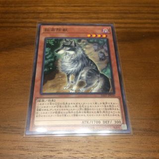 ユウギオウ(遊戯王)の【専用ページ】孤高除獣 ノーマル ココウノケモノ(シングルカード)