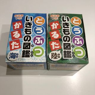 知育かるた 2個(知育玩具)