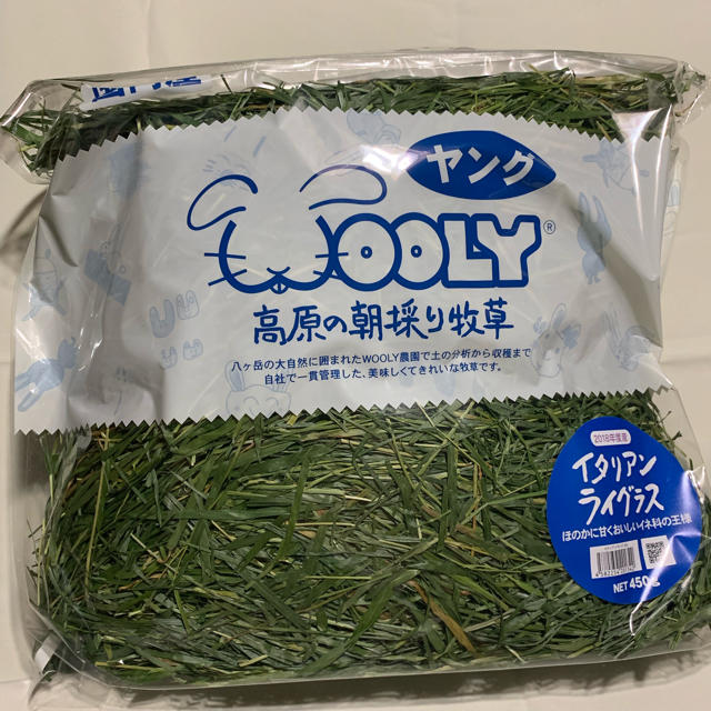 wooly イタリアンライグラス ヤング その他のペット用品(小動物)の商品写真