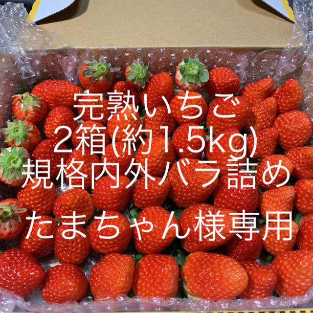 たまちゃん様専用●完熟いちご1.5kg●クール便 食品/飲料/酒の食品(フルーツ)の商品写真