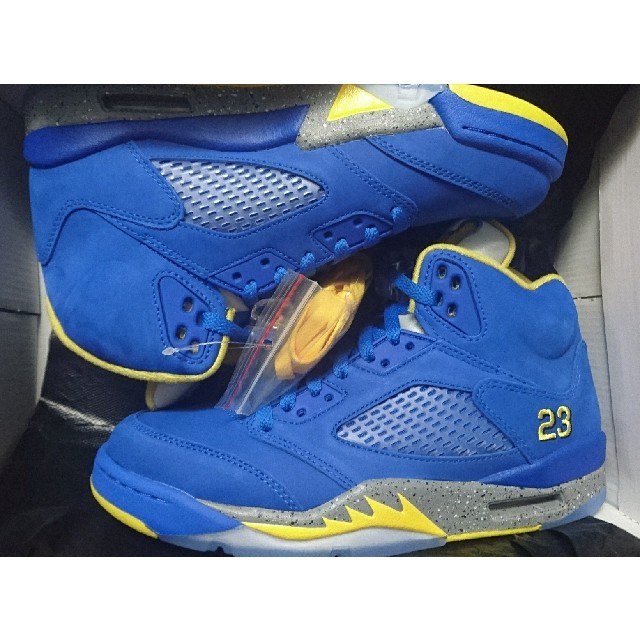 NIKE AIRJORDAN 5LANEY ナイキ エアジョーダン 5レイニー