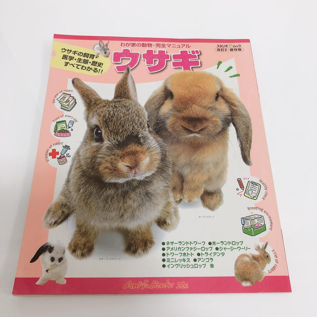 うさぎ 本 その他のペット用品(小動物)の商品写真