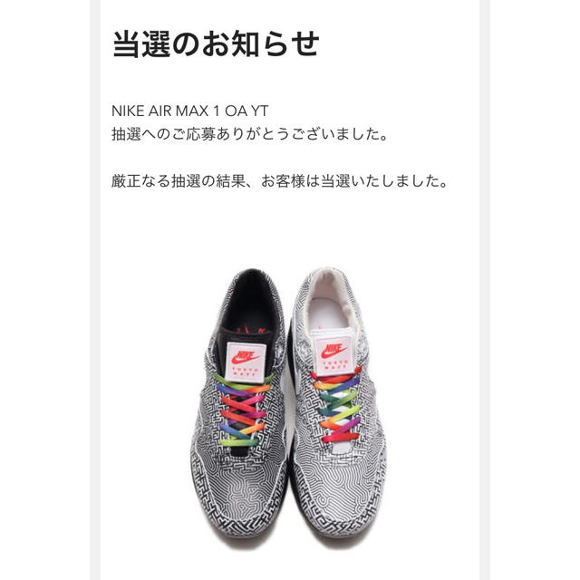 NIKE(ナイキ)のNIKE AIR MAX 1 OA YT 27cm メンズの靴/シューズ(スニーカー)の商品写真