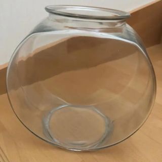 専用【送込】金魚鉢 太鼓鉢 水槽 3.8ℓ(アクアリウム)